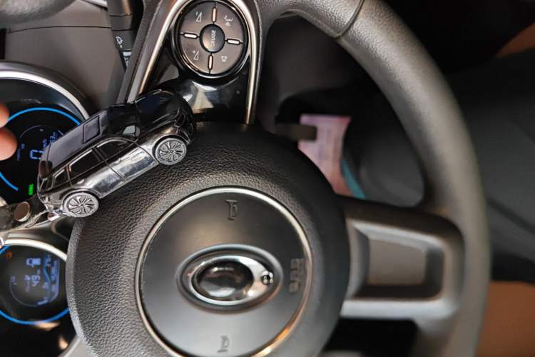 Used ORA Black Cat 2021 301 km Basic Version Vehicle Key