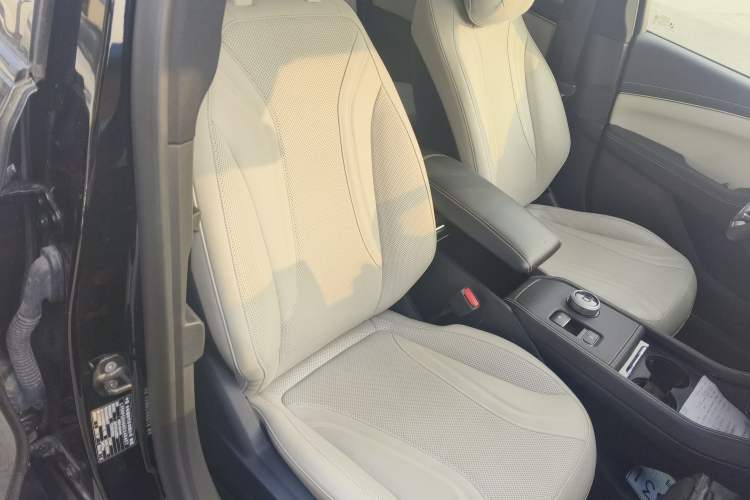 Used Ford Mustang Mach-E 2021 AION Y Plus Rear-Drive Luxury Edition (Long Range)
