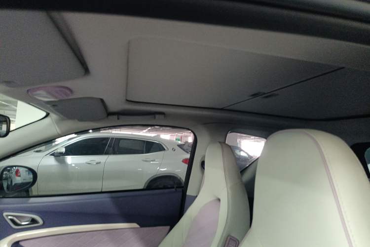 Used Chery Little Ant 2022 Updated Version Sweet Pink Edition Full Sugar Version Lithium Iron Phosphate 30.7 kWh 30 kW 301 km
