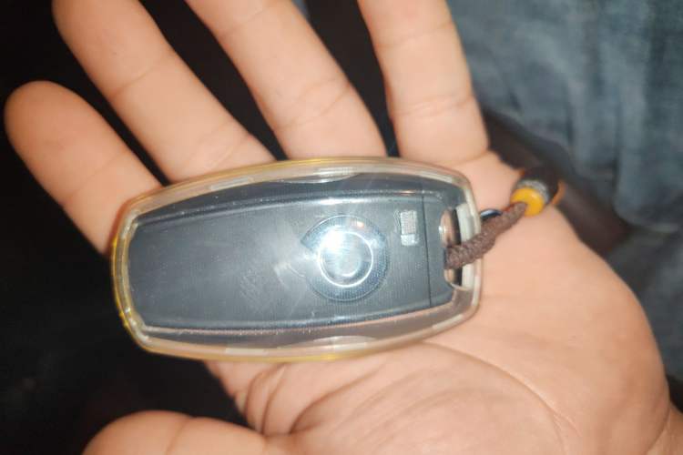 Used Great Wall King Kong Poer 2022 2.0T Manual Gasoline 4x4 Navigation Version Standard Cab GW4C20B