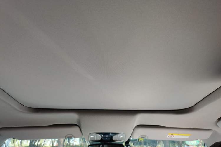 Used GAC Trumpchi GS8 2017 320T Two-Wheel Drive Luxury Smart Connectivity Version (7 Seats) Headliner