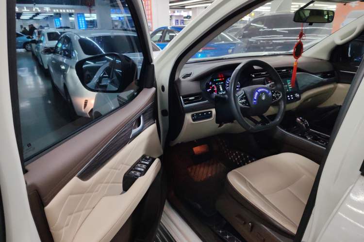 Used Dongfeng Fengdu Paladin 2023 2.0T Four-Wheel Drive Luxury Edition