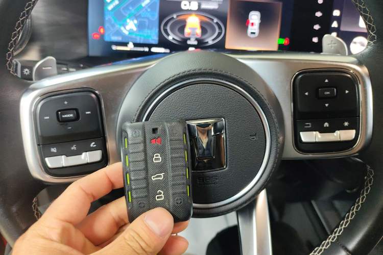 Used Tank 300 2024 2.0T Challenger
