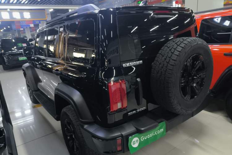 Used Tank 300 2025 2.4T Diesel Version