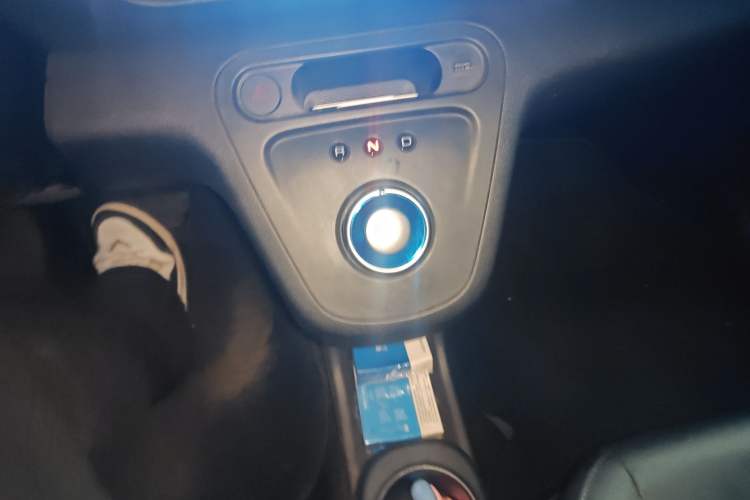 Used ORA White Cat 2020 401 km Flagship Version Gear Lever