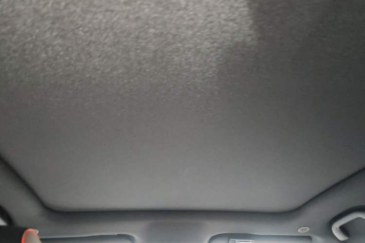 Used BYD Dolphin 2021 405 km Fashion Edition Headliner