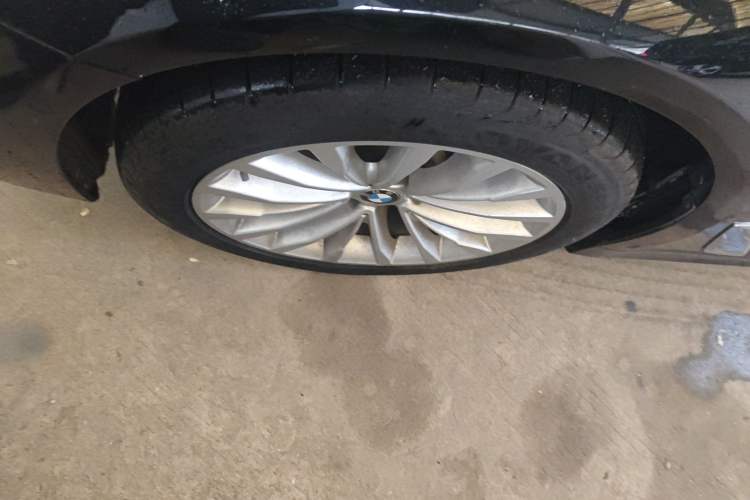 Used BMW 5 Series 2020 530Li Luxury Edition Premium Package