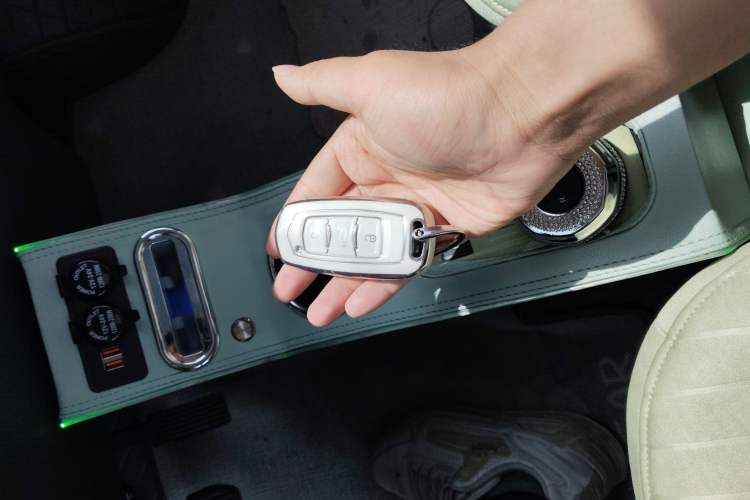 Used Geely Galaxy Panda 2023 Panda Mini 200km Dynamic Bear