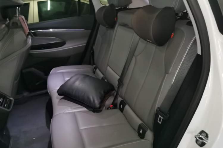 Used Buick E5 2023 Zhenxiang Standard Range Edition Left Rear Seat