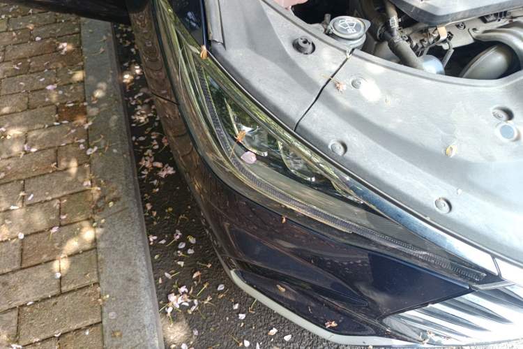 Used BYD Song MAX 2021 Upgraded Model 1.5T Automatic Prestige 7-Seater