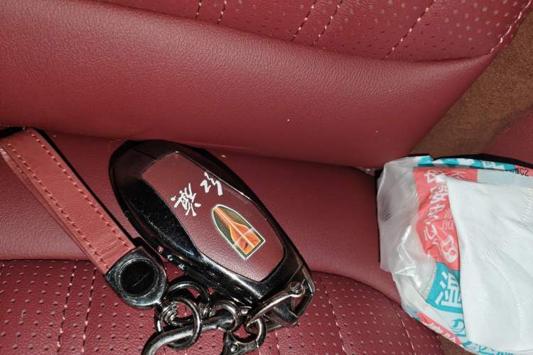 Used Hongqi HS5 2023 2.0T Four-Wheel Drive Flagship Pro Edition