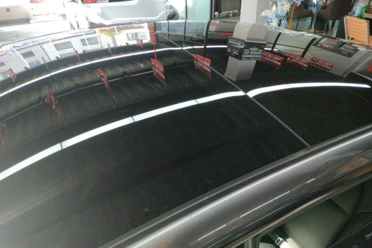 Used Tesla Model 3 2022 Rear-Wheel-Drive Version Roof