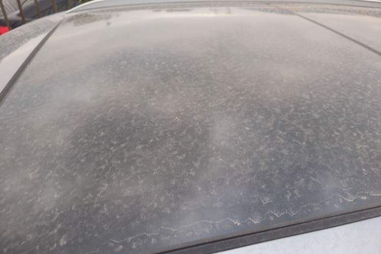 Used BYD Sealion 05 DM-i 2025 DM-i Smart Drive 115KM Flagship Model Roof