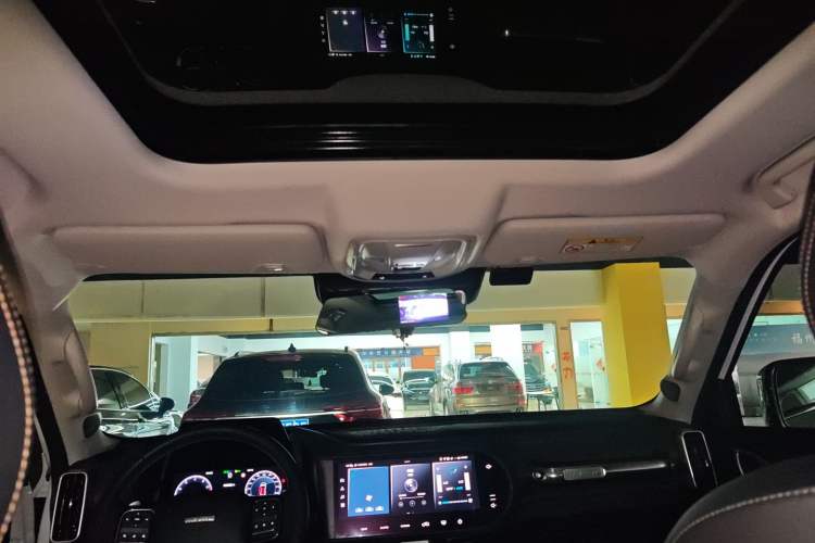 Used Haval DARGO 2021 1.5T DCT Two-Wheel Drive Border Collie Edition Headliner