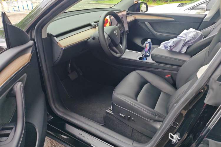 Used Tesla Model Y 2022 Revised Version Rear-Wheel Drive Left Front Seat