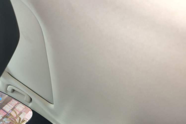 Used Toyota Corolla 2021 1.2T S-CVT Luxury Edition Headliner