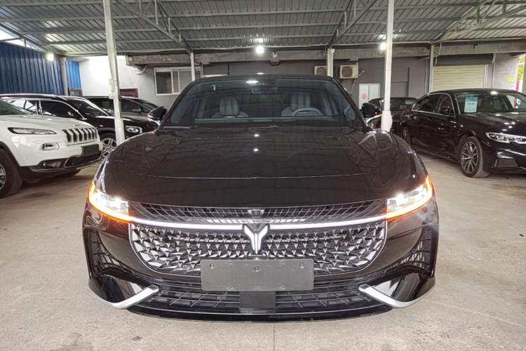 Used VOYAH PASSION 2024 PHEV Four-Wheel Drive Ultra-Long Range Flagship Model Front