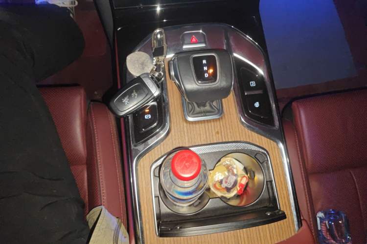 Used Hongqi E-HS9 2021 510 km Range Flagway Edition Six Seats Gear Lever