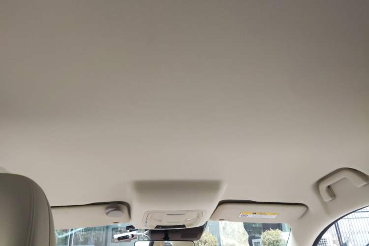 Used ORA Good Cat 2023 401 km Standard Range Luxury Version Lithium Iron Phosphate Headliner