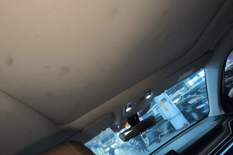 Used Kia Sportage R 2021 Ace 2.0L Splendid Edition Headliner