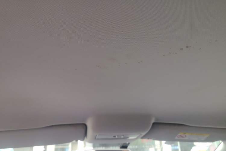 Used Volkswagen Polo 2018 1.5L Manual Drive-Comfort Model Headliner