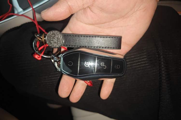 Used BYD Song Pro New Energy 2024 HONOR Edition DM-i 71KM Navigation Model