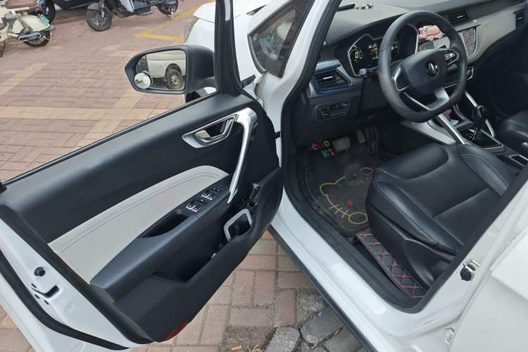 Used Livan Maple 30X 2020 Style Edition
