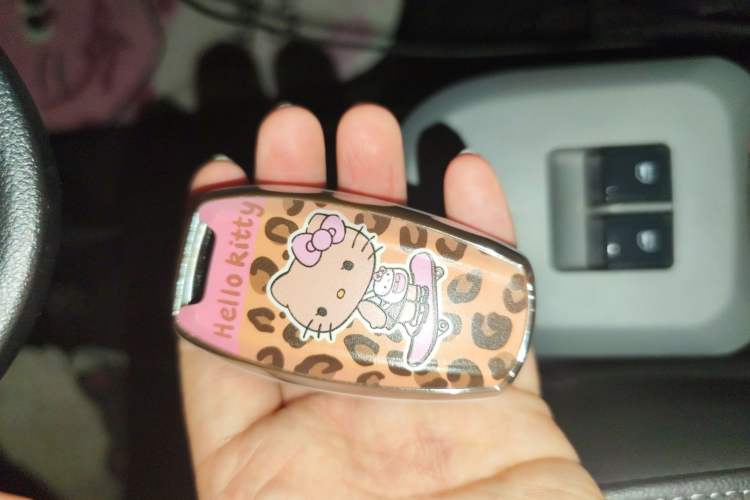 Used ORA Black Cat 2021 351 km Standard Version Vehicle Key