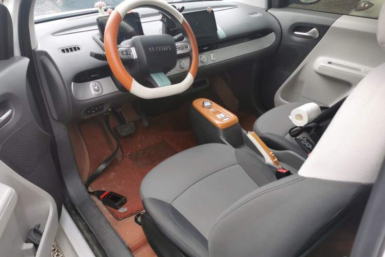 Used Qiyuan Lumin 2023 205km Xiangqin Version