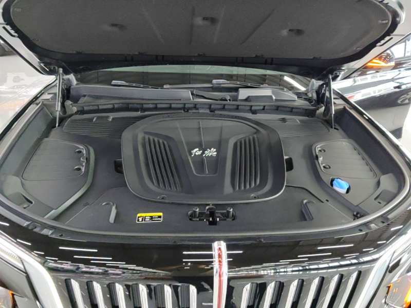 Used Hongqi E-HS9 2021 460 km Range Flagship Edition Six-Seater — 19