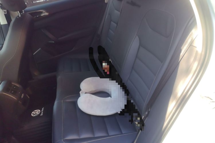 Used Volkswagen Tharu 2019 280TSI Two-Wheel Drive Luxury Version China VI Standard Left Rear Seat