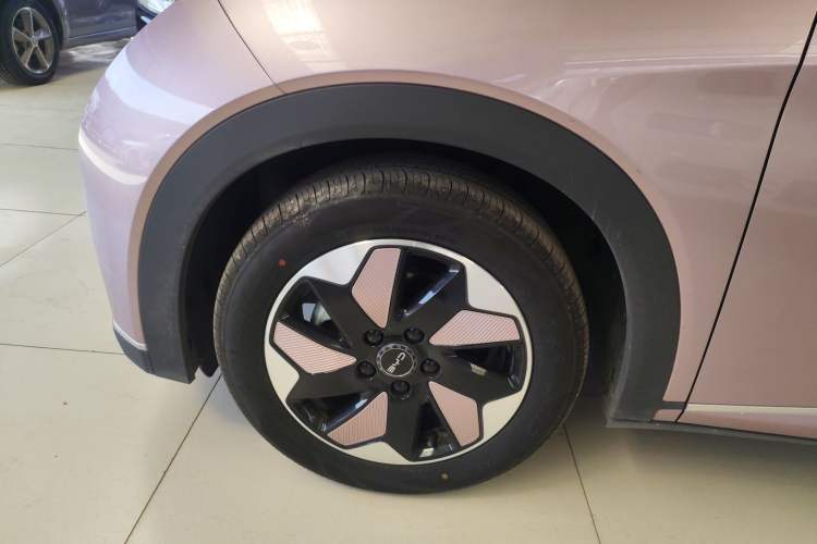 Used BYD Dolphin 2024 Honor Edition 420km Fashion Version Left Front Wheel Hub