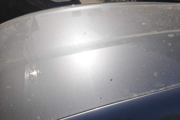 Used BYD Dolphin 2021 405 km Free Version
