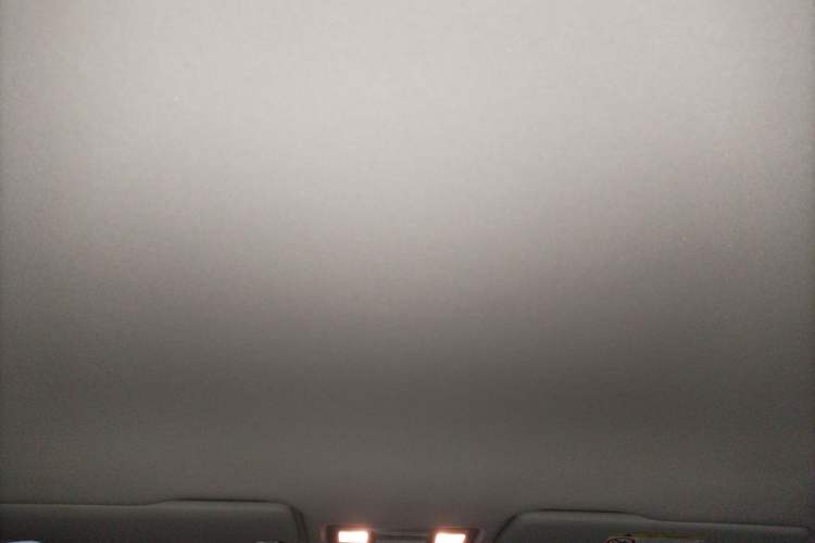 Used Volkswagen Bora Pure Electric 2021 Shang Model Headliner