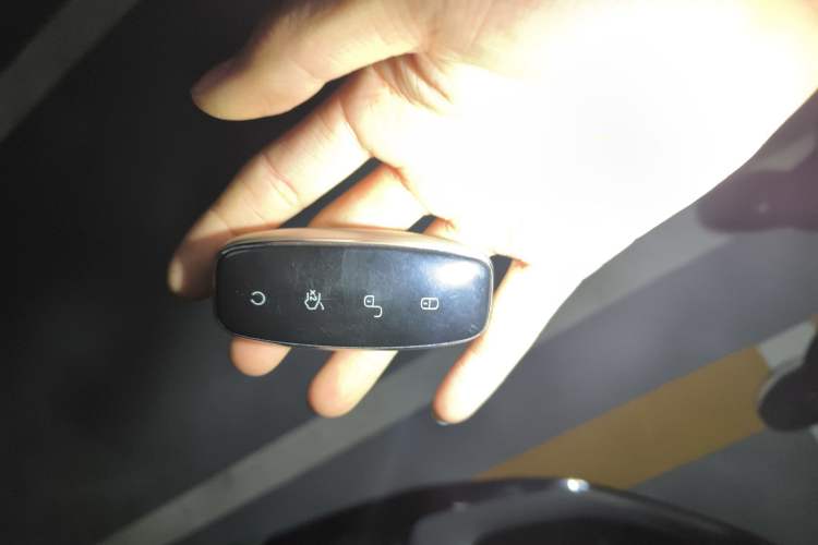 Used Denza D9 2022 DM-i 970 Four-Wheel Drive Prestige Model