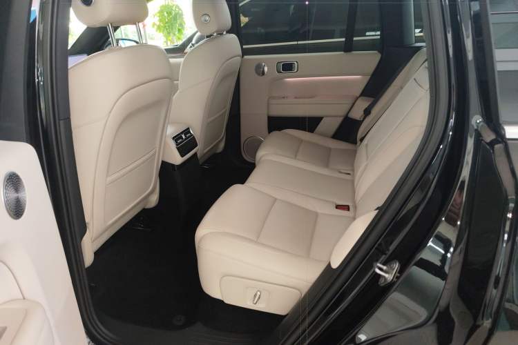 Used Li Auto L6 2025 Max Smart Refresh Edition Left Rear Seat