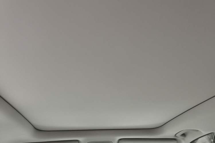 Used GAC Trumpchi GS8 2022 Flagship Series 2.0 TGDI Four-Wheel Drive Luxury Smart Connectivity Version (7 Seats) Headliner