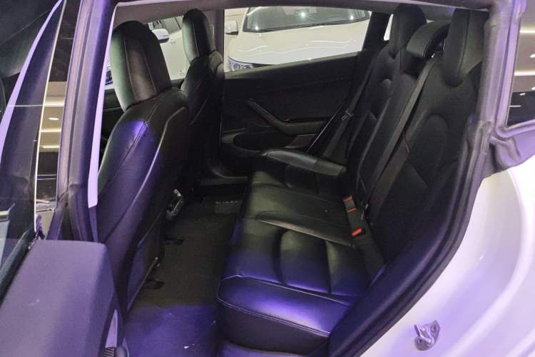 Used Tesla Model 3 2019 Standard Range Rear-Drive Upgraded Version