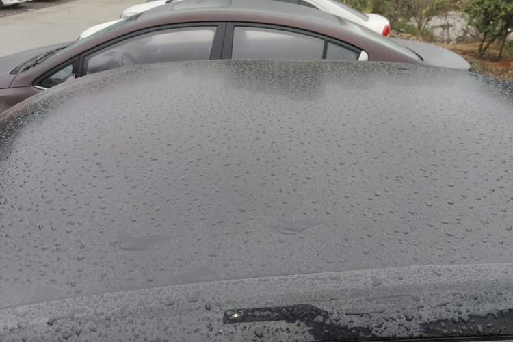 Used Volkswagen Lavida 2019 Lavida Start 1.5L Automatic Trendy Version China VI Standard