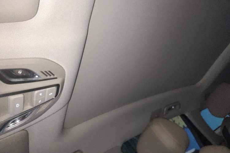 Used Wuling Victory 2023 2.0L DHT Deluxe Edition
