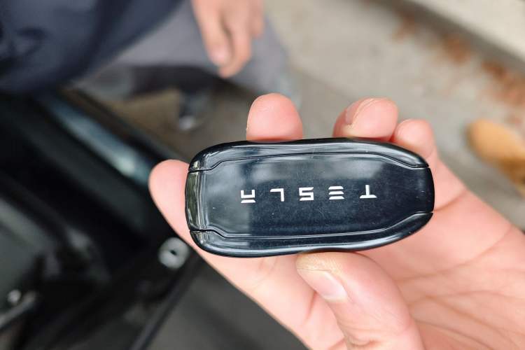 Used Tesla Model 3 2020 Standard Range Rear-Wheel Drive Upgraded Version