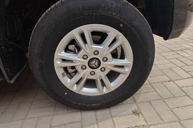 Used Sinotruk BOLDEN 2024 Commercial 2.0T Manual Diesel 4x4 Long Wheelbase Youth Edition