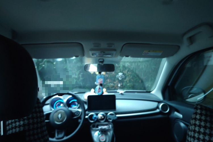 Used ORA Black Cat 2021 301km Cute Pet Edition Headliner