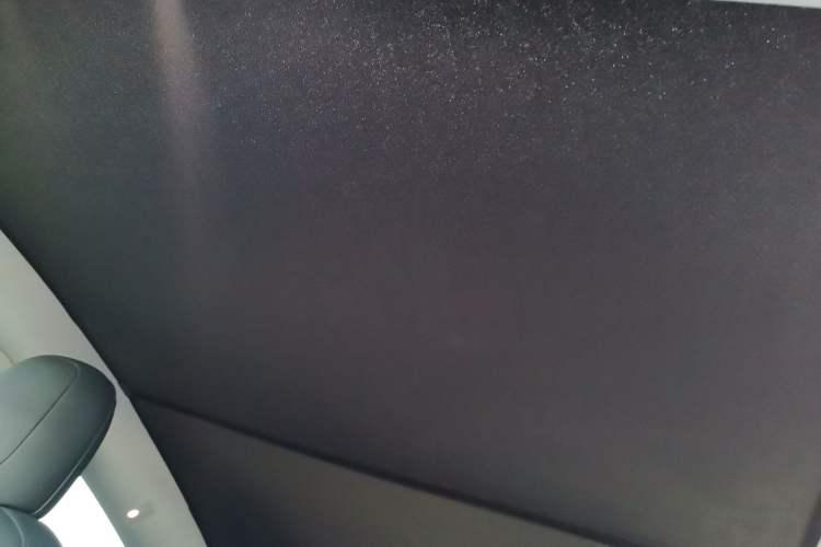 Used Tesla Model Y 2022 Performance High-Performance All-Wheel-Drive Version Headliner