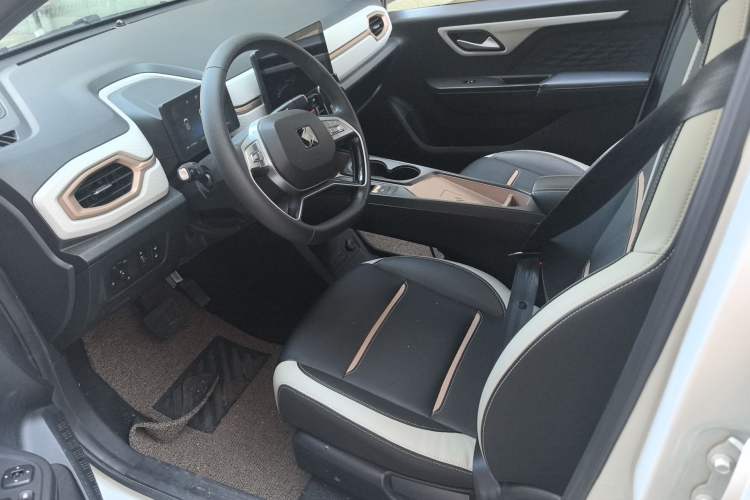 Used SOL E10X 2022 Flower Fairy Design Four-Leaf Clover Driver Seat