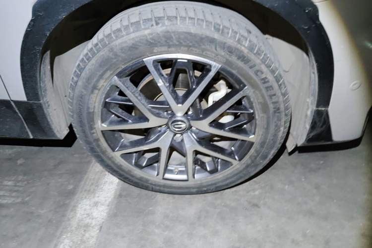 Used GAC Trumpchi GS8 2022 Linghang Series 2.0 TGDI Two-Wheel-Drive Luxury Smart Connectivity Version (7 Seats)