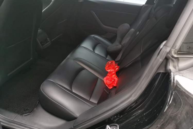 Used Tesla Model 3 2021 Standard Range Rear-Drive Upgraded Version