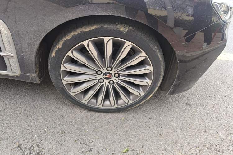 Used Hongqi H9 2020 3.0T Smart Connect Flagship Four-Seat Version