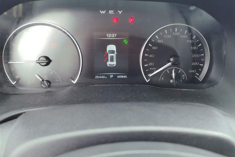 Used Wey VV5 2020 1.5T Two-Wheel Drive Color Pioneer
