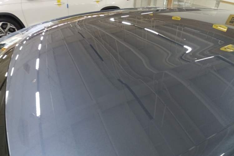 Used BYD Dolphin 2024 Honor Edition 420km Freedom Version